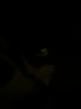 Snapshot of sark0606 chatting on February 6, 4:58 pm sark0606 online show from February 6, 4:58 pm