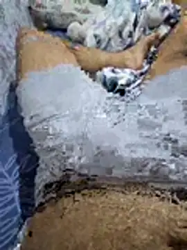 Sexhamza32 online show from June 29, 8:31 pm