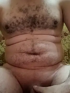 Arabian online show from November 12, 3:12 pm