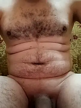 Arabian online show from November 28, 11:02 am