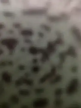 Yashkumar 0697 online show from October 13, 8:42 pm