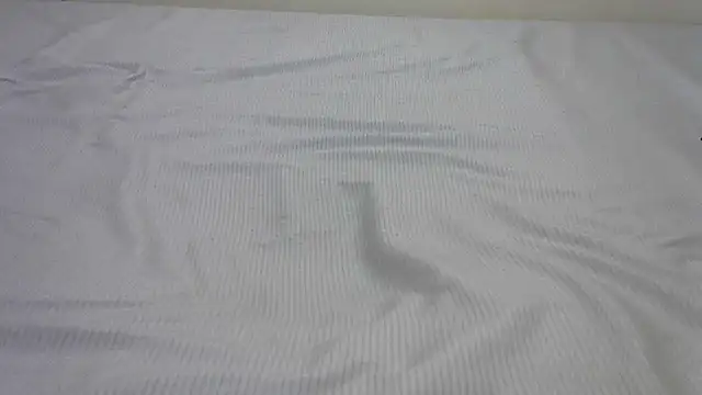 Snapshot of SweetTeaseX chatting on February 13, 4:50 pm SweetTeaseX online show from February 13, 4:50 pm