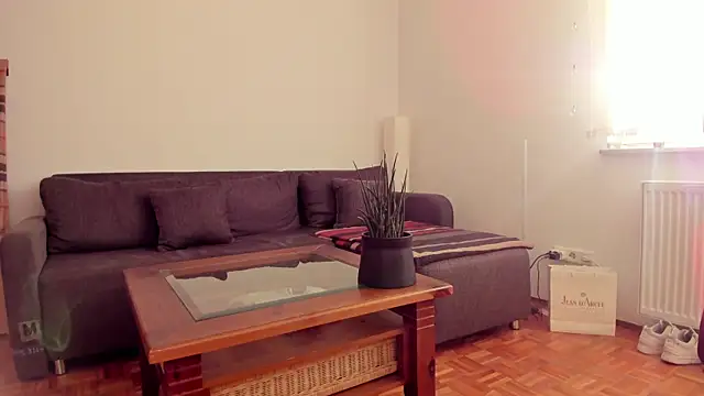 Snapshot of molicaremolicare chatting on November 6, 7:31 am molicaremolicare online show from November 6, 7:31 am