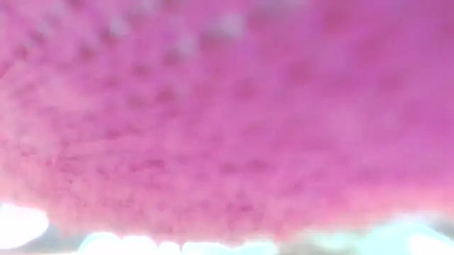 Sweetieanalxxx online show from April 5, 12:30 am