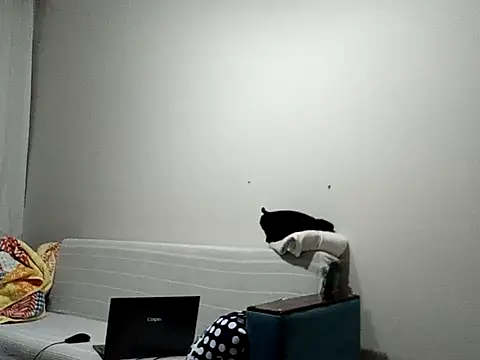 BellBort online show from March 3, 7:42 pm