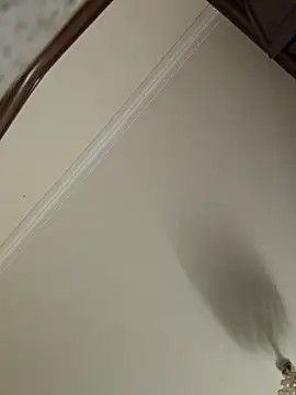 Loly2025 online show from April 19, 1:16 am