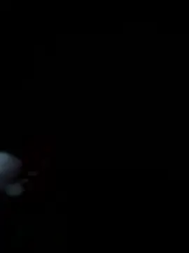 bkardashian online show from January 9, 3:42 am