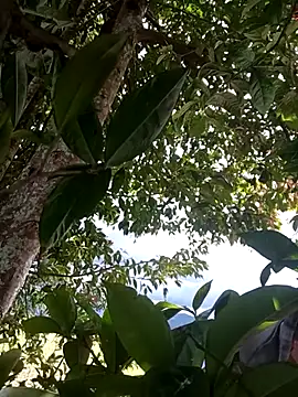 Mycansonhot online show from April 11, 7:18 pm