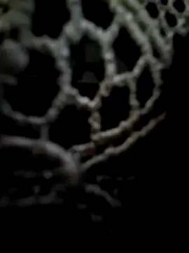 Snapshot of mauroxx08 chatting on May 11, 2:34 pm mauroxx08 online show from May 11, 2:34 pm