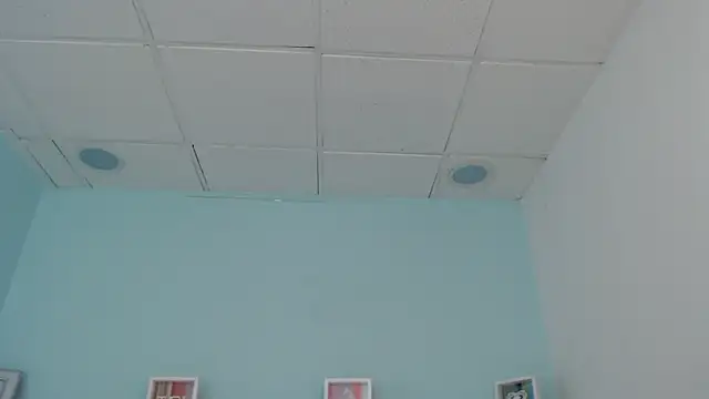 Sunshine gh1 online show from May 25, 11:27 am