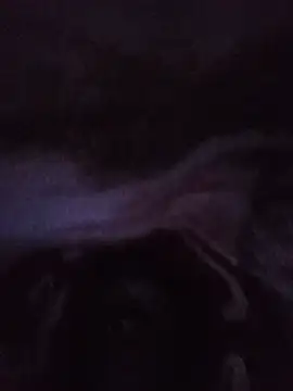 lilpip online show from July 5, 10:50 pm