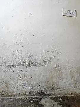 Snapshot of pallu_telgu_kannada chatting on March 4, 5:30 pm pallu telgu kannada online show from March 4, 5:30 pm