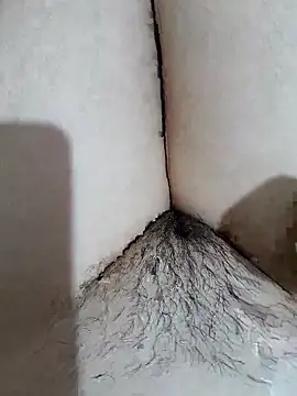 yakot7 online show from April 19, 10:45 pm