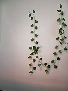 Neha-Bhabhi-Rasily online show from February 18, 11:17 am