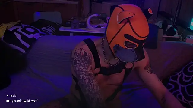 danix wild wolf online show from March 15, 10:49 pm