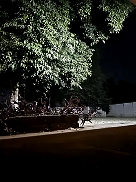 Snapshot of bakedsnackmmh chatting on February 19, 9:33 pm bakedsnackmmh online show from February 19, 9:33 pm