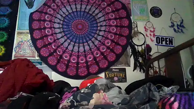 GardeniaFields online show from February 24, 8:56 am