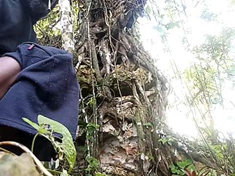 rasvinchi online show from March 29, 11:54 am