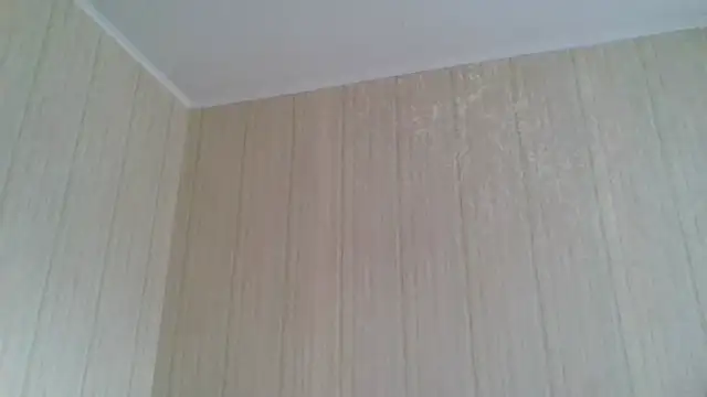  Black-Panther  online show from February 11, 9:58 am