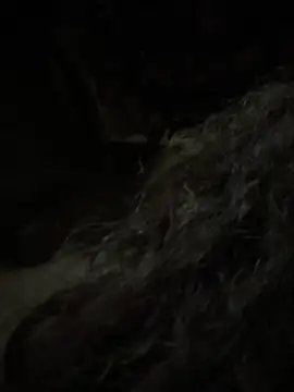 aa520uv online show from February 5, 12:43 pm