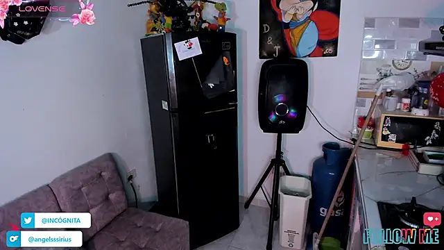 adam angelssss online show from November 16, 1:00 am