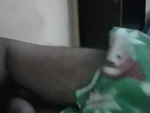 Snapshot of United95X chatting on September 12, 1:55 pm United95X online show from September 12, 1:55 pm