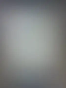 snehashreyatamil online show from February 18, 12:01 pm