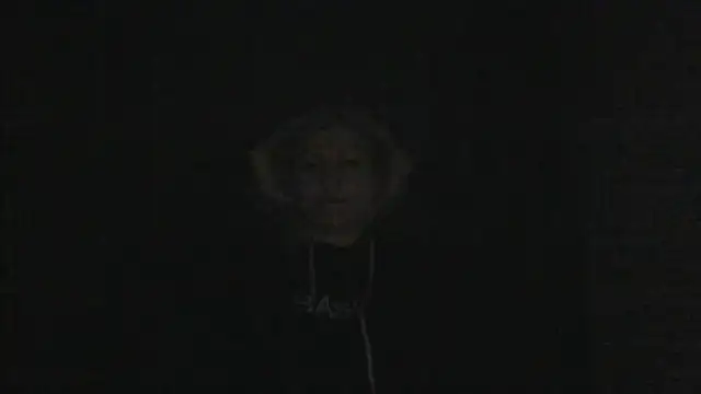 Snapshot of AidaRay chatting on January 17, 7:06 pm AidaRay online show from January 17, 7:06 pm