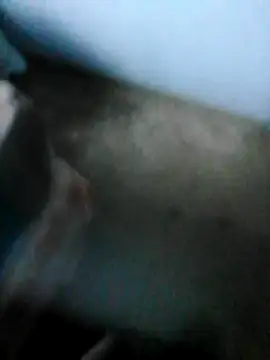 Snapshot of mydickbedarkandthick chatting on November 21, 3:11 pm mydickbedarkandthick online show from November 21, 3:11 pm