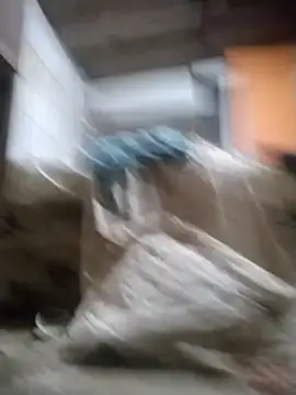 srtsara online show from December 14, 12:16 am