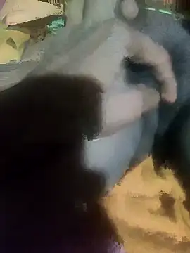 sshrichandra online show from November 13, 8:08 pm