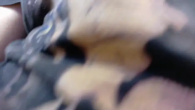 Witch Scarlet online show from March 25, 1:00 am