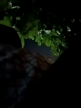 Rajopensex 955 online show from March 21, 6:22 pm