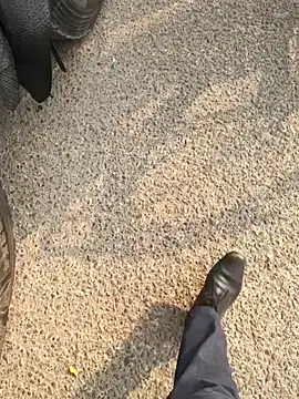 Snapshot of mysticeyes_backup chatting on November 15, 3:37 am mysticeyes backup online show from November 15, 3:37 am