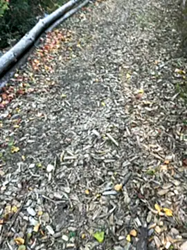 Snapshot of Mlkrrp chatting on October 10, 4:28 pm Mlkrrp online show from October 10, 4:28 pm