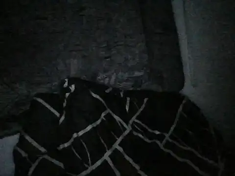 Snapshot of RVJM chatting on April 25, 4:37 am RVJM online show from April 25, 4:37 am