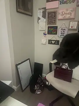 Juicystorm online show from February 11, 1:10 am