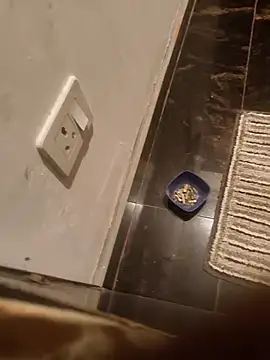 Snapshot of HootedTuner chatting on November 13, 8:08 pm HootedTuner online show from November 13, 8:08 pm