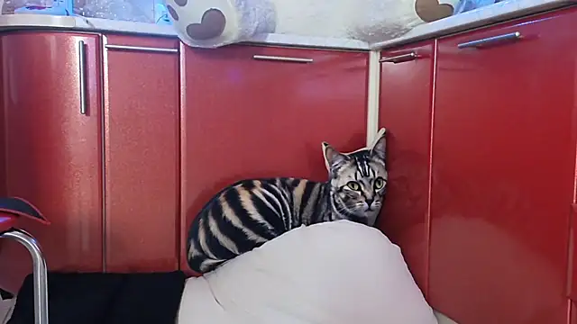 SquirtMilf00 online show from April 9, 3:17 am