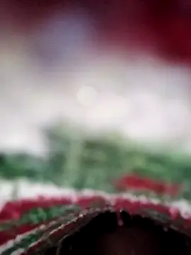 Snapshot of ParousFlow chatting on February 13, 11:28 am ParousFlow online show from February 13, 11:28 am