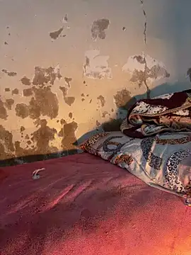 Snapshot of ParousFlow chatting on March 14, 1:23 am ParousFlow online show from March 14, 1:23 am