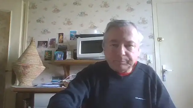 gegevincent online show from April 14, 10:54 am