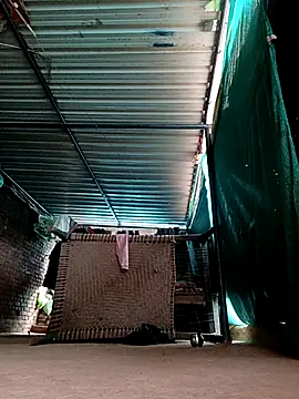 Shiya janu online show from February 3, 6:40 am