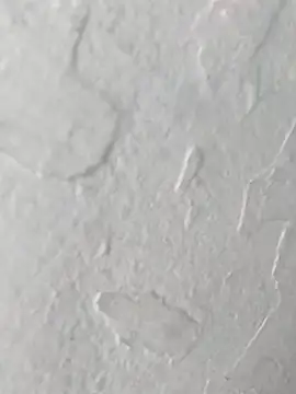 Snapshot of yaraa49 chatting on October 23, 5:07 am yaraa49 online show from October 23, 5:07 am