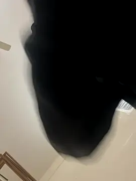 Snapshot of zack6x chatting on December 2, 3:40 pm zack6x online show from December 2, 3:40 pm