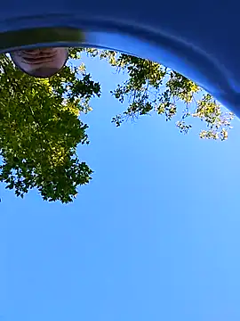 helldonk online show from September 21, 2:08 pm