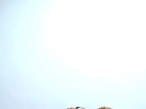 saara johnson496 online show from October 30, 11:38 pm