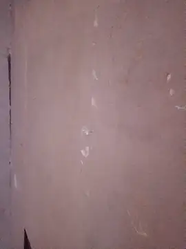 Snapshot of juanpa8453 chatting on April 23, 4:03 am juanpa8453 online show from April 23, 4:03 am