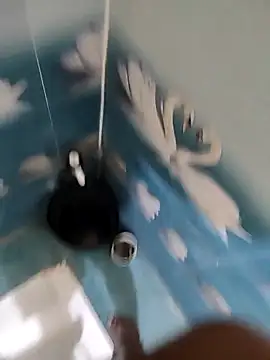 Telugu person12 online show from November 12, 4:51 pm