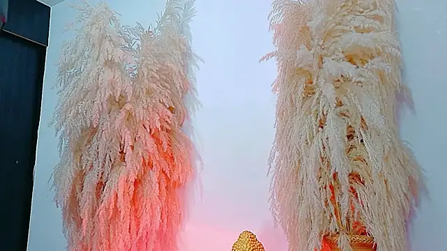 JulietaDavis online show from February 4, 9:37 am